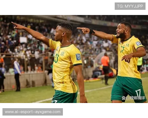 南非队防守端发力,成功晋级下一轮,南非球员