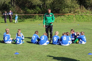 爱游戏官方-德甲球队构建战术模拟平台提升临场应变能力，德甲模式